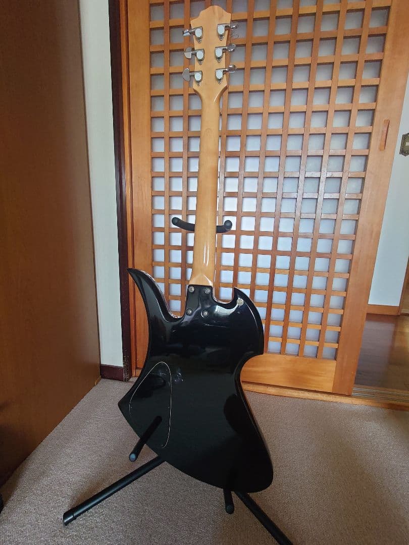 フェルナンデス　MG-XT hideモデル