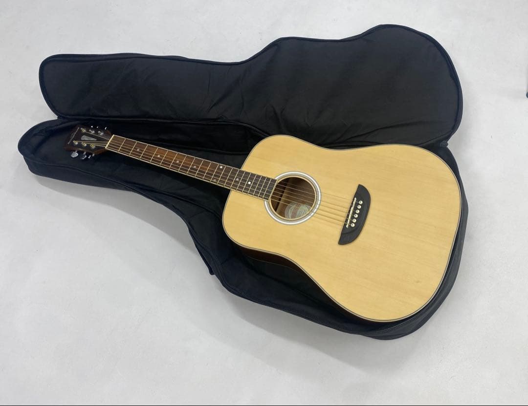 Orangewood T110 NS アコースティックギター