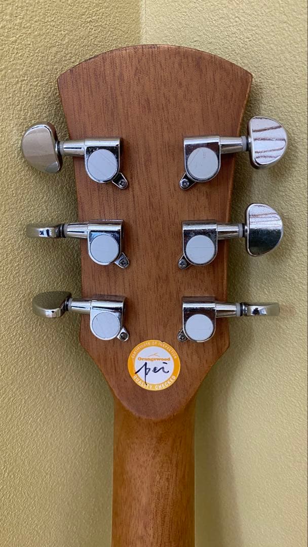 Orangewood T110 NS アコースティックギター