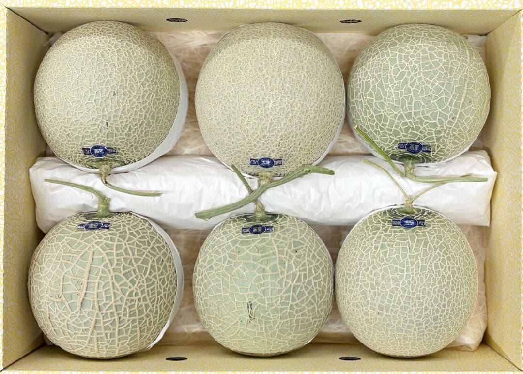 ル*ル様 Aご家庭用　高知特産　マスクメロン　6玉入り　約8.2㎏（箱込み）