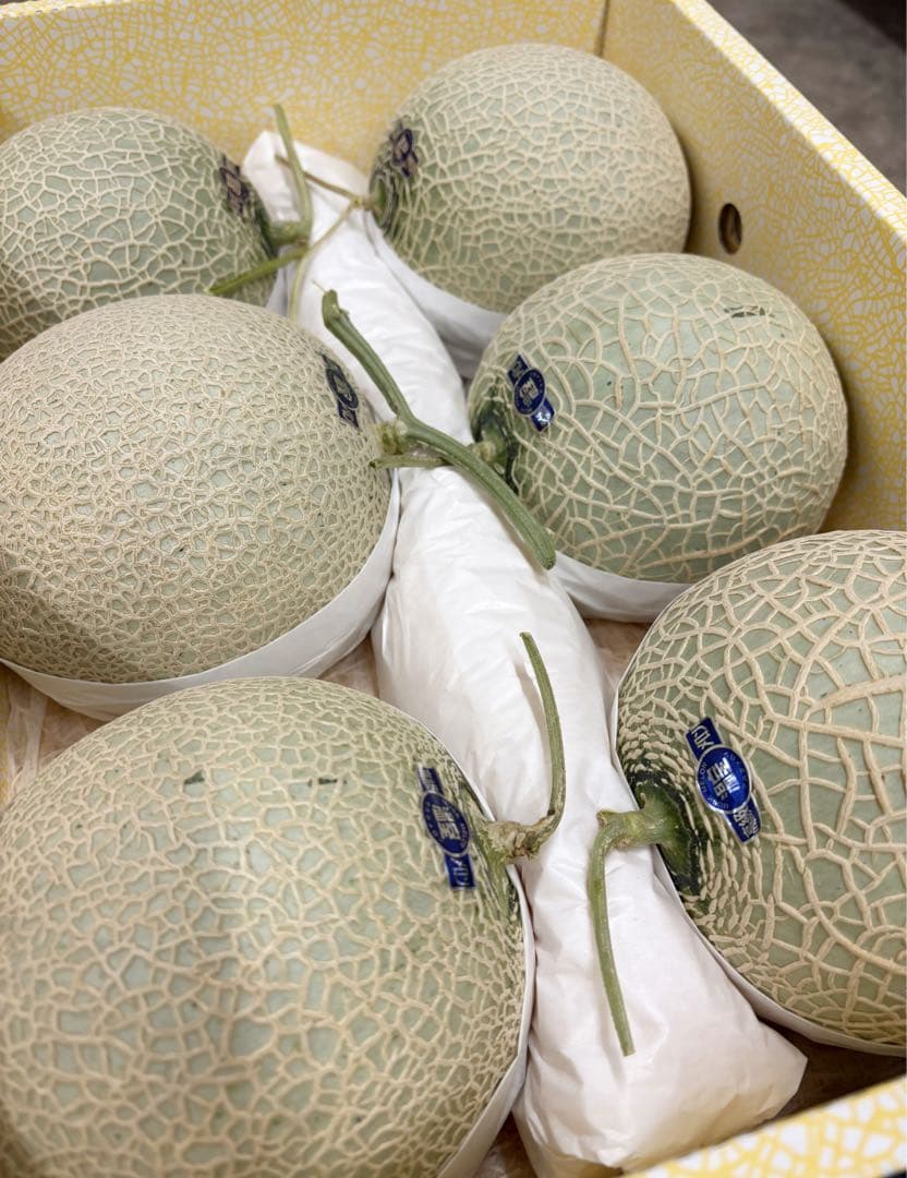 ル*ル様 Aご家庭用　高知特産　マスクメロン　6玉入り　約8.2㎏（箱込み）