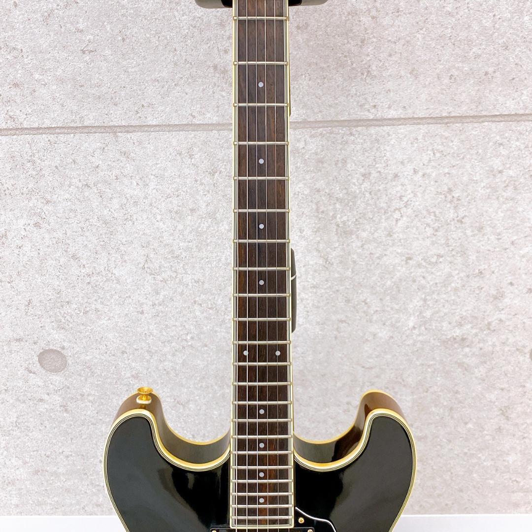 Aria Pro II TA-550　セミアコースティックギター／ソフトケース付