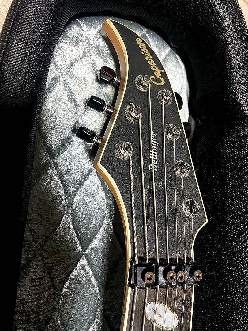 ギター Caparison Dellinger 7 M3  Storm