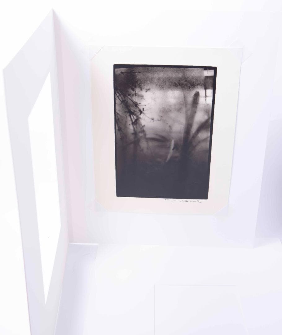 Nori  小瀧達郎 （ギャラリーバウハウス主宰）ゼラチンシルバープリント