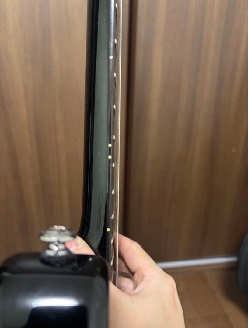 【akhiro4677さん専用】PRS SE Soapbar II