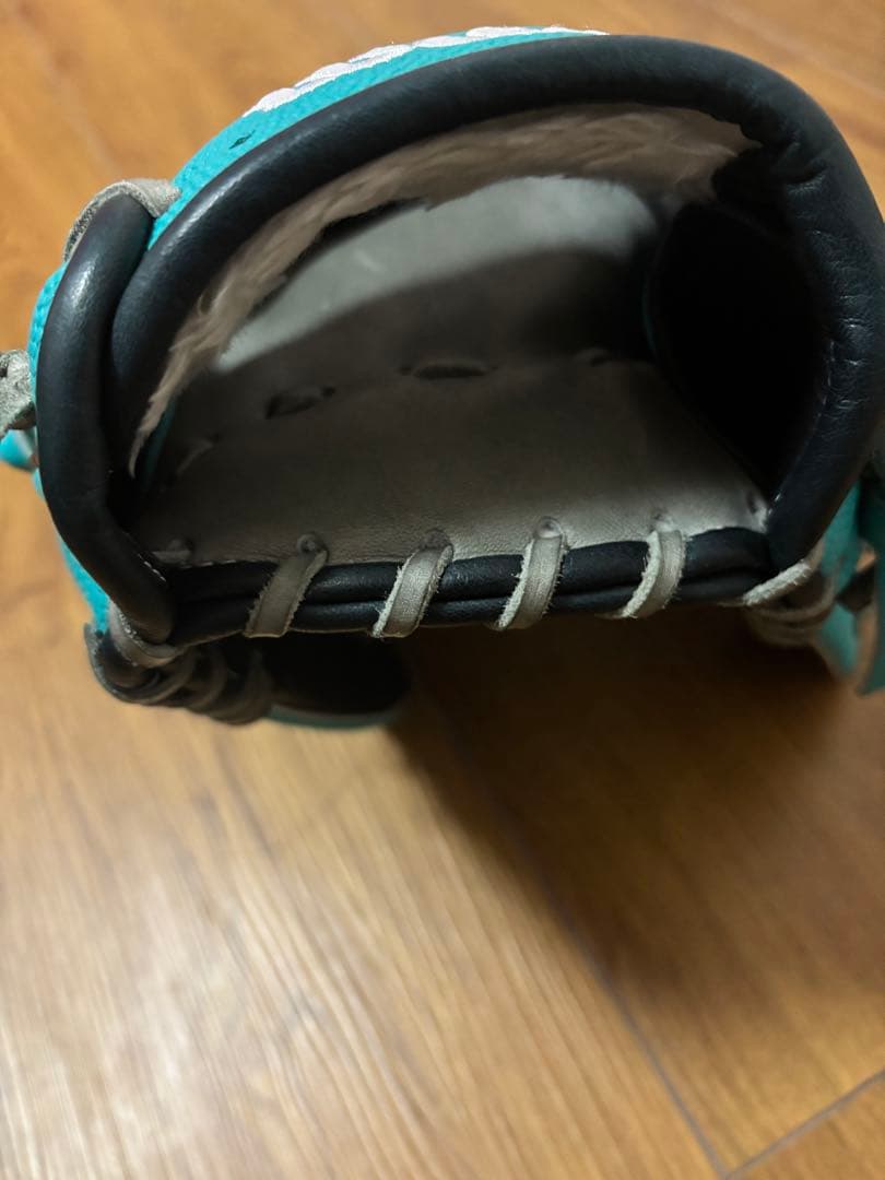 ウイルソングローブ