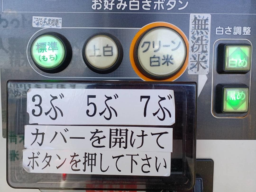 関東　一都六県　送料無料　令和６年　冷蔵保存　新米　玄米　つきあかり　20kg