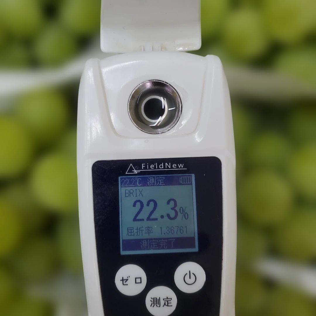 1⃣ 山梨県産 シャインマスカット １１房 箱込み5.5キロ