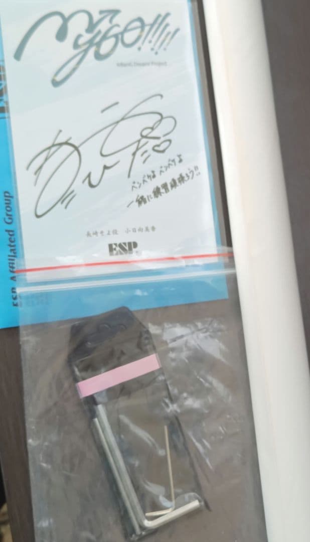 GB Soyo / MyGO!!!!! 長崎そよ ベース（新品、未使用）