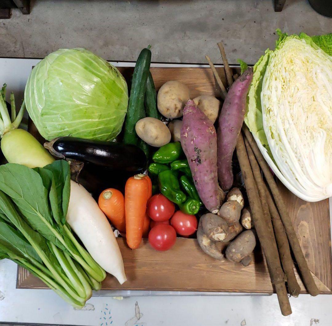 スピカ様 野菜セット 果物追加2 くるみ味噌2