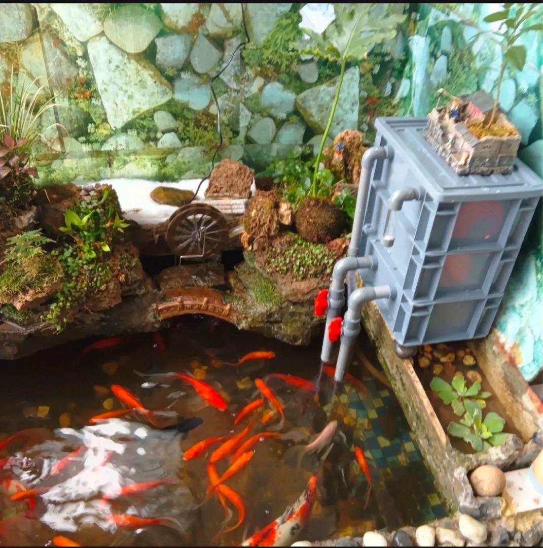 25W水中ポンプ付き　水槽用ろ過フィルター 外部式上部飼育濾過装置器アクアリウム