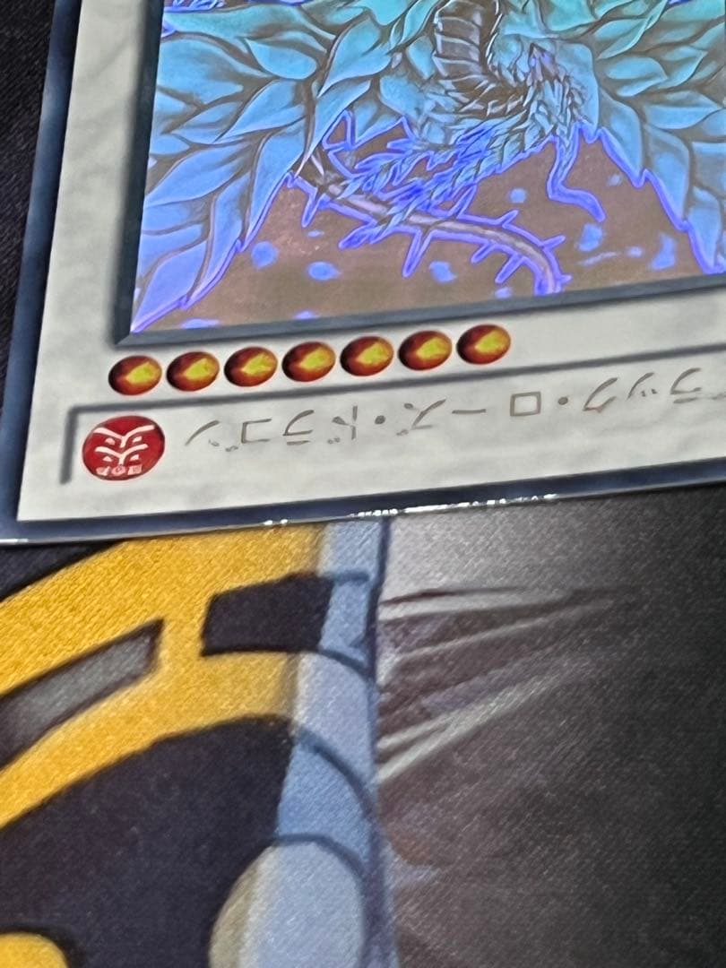 遊戯王　ブラック・ローズ・ドラゴン　ホロ