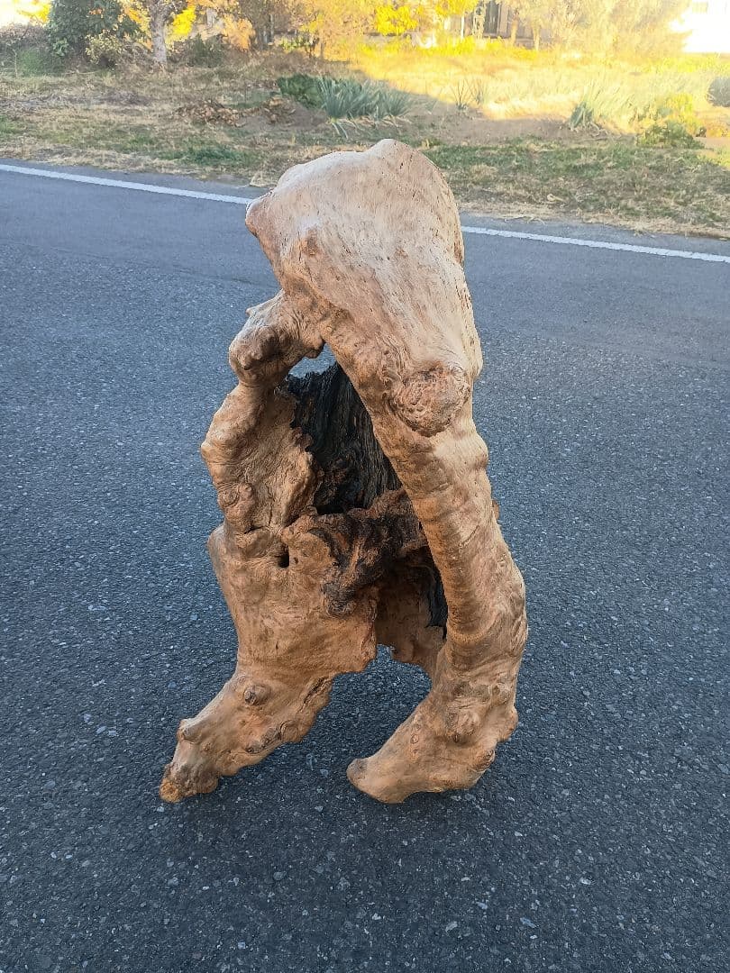 自然天然木(根)とても珍人間の歩姿です自然の感動てきア−ト作品です一品です