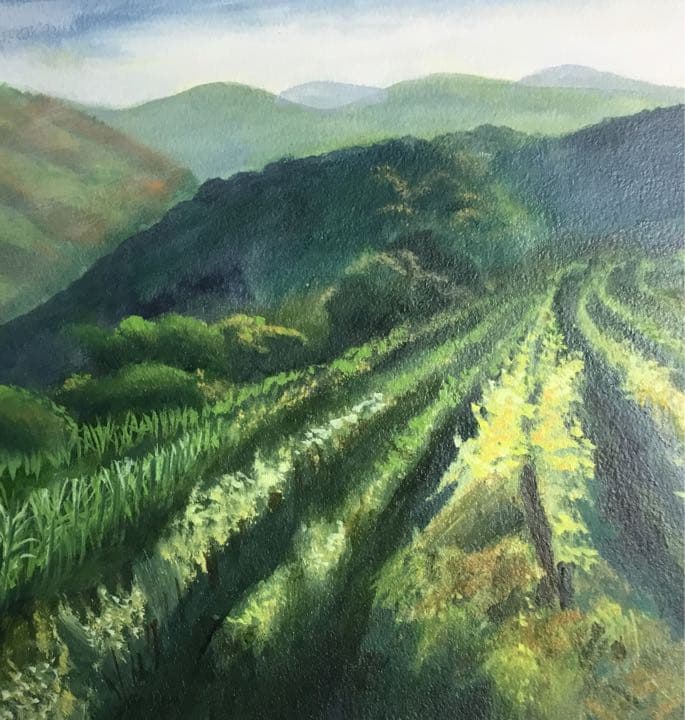 油絵　「　ブドウ畑の陽光　」原画