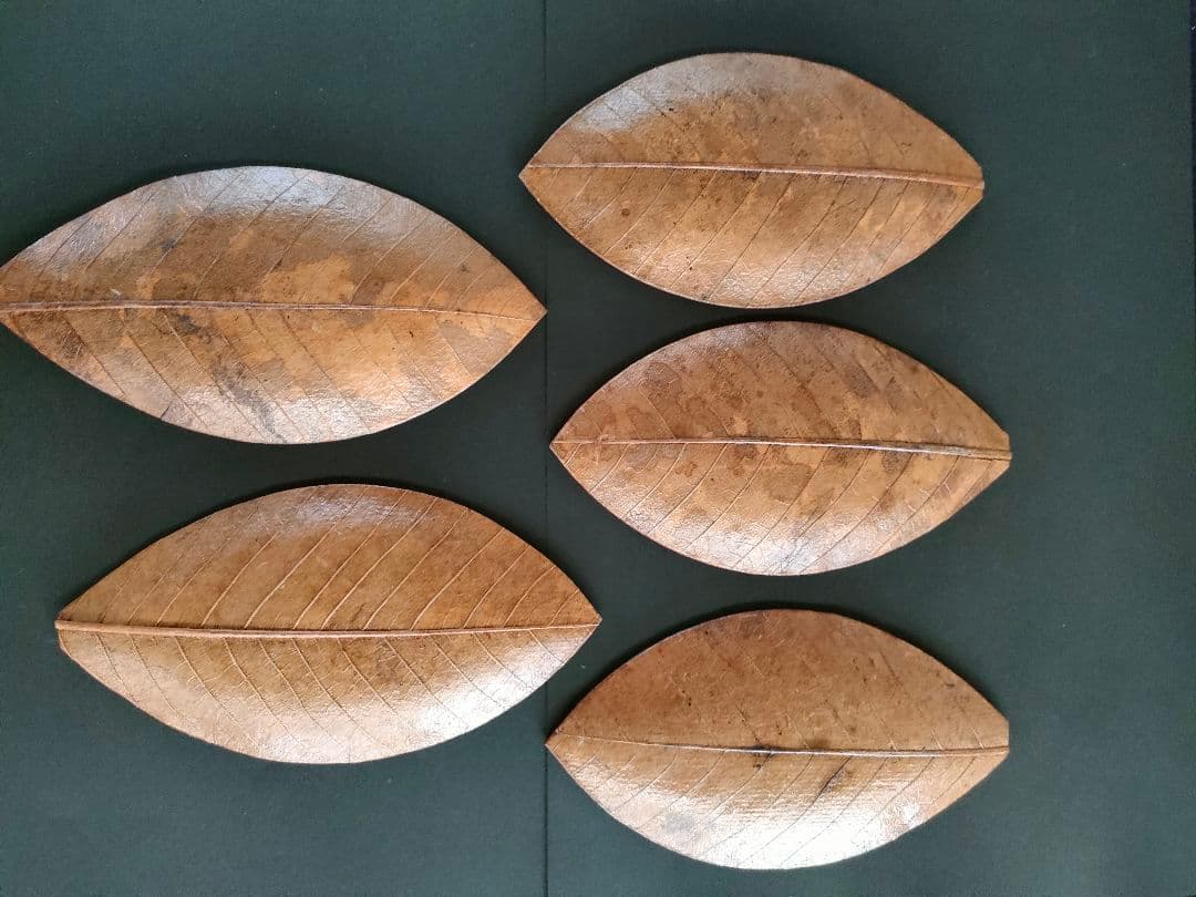 ●天然葉 プレスプレート 葉皿 5枚組アートオブジェ民藝ハンドメイドインテリア