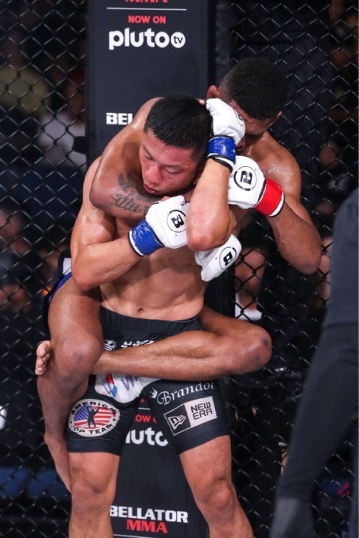 〈新品〉BELLATOR MMA 白グローブ 団体からの選手支給品