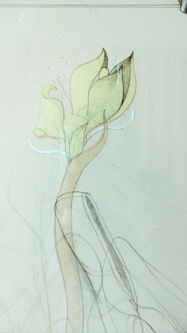 玲*音様 リトグラフ＊バレリーナ＊ブルーノ・ブルーニ