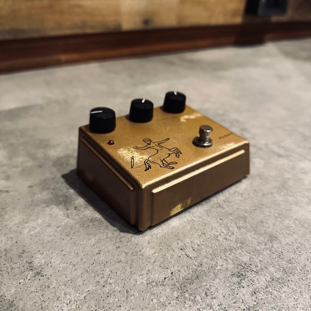 Lemon & Ginger けんたろう　5周年記念モデル