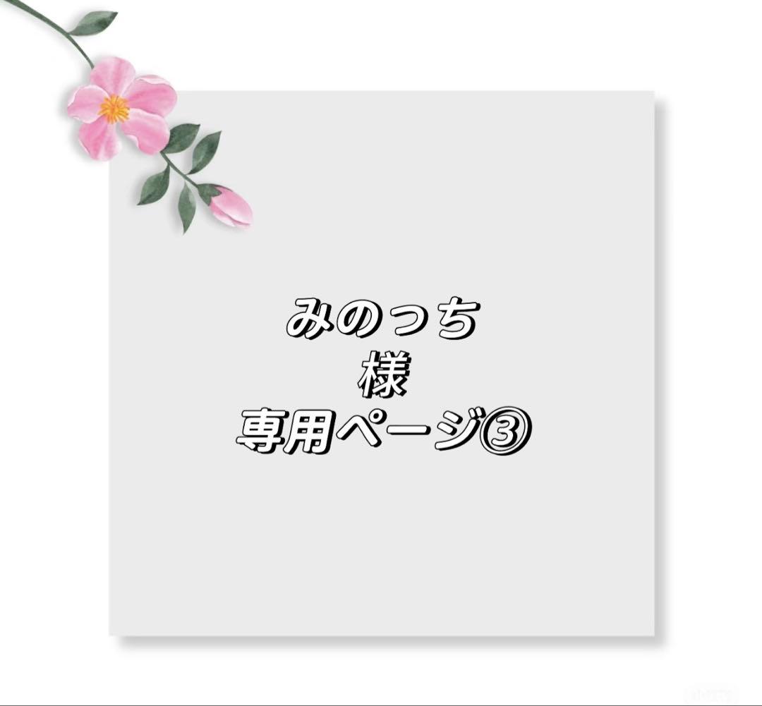 みのっちページ③