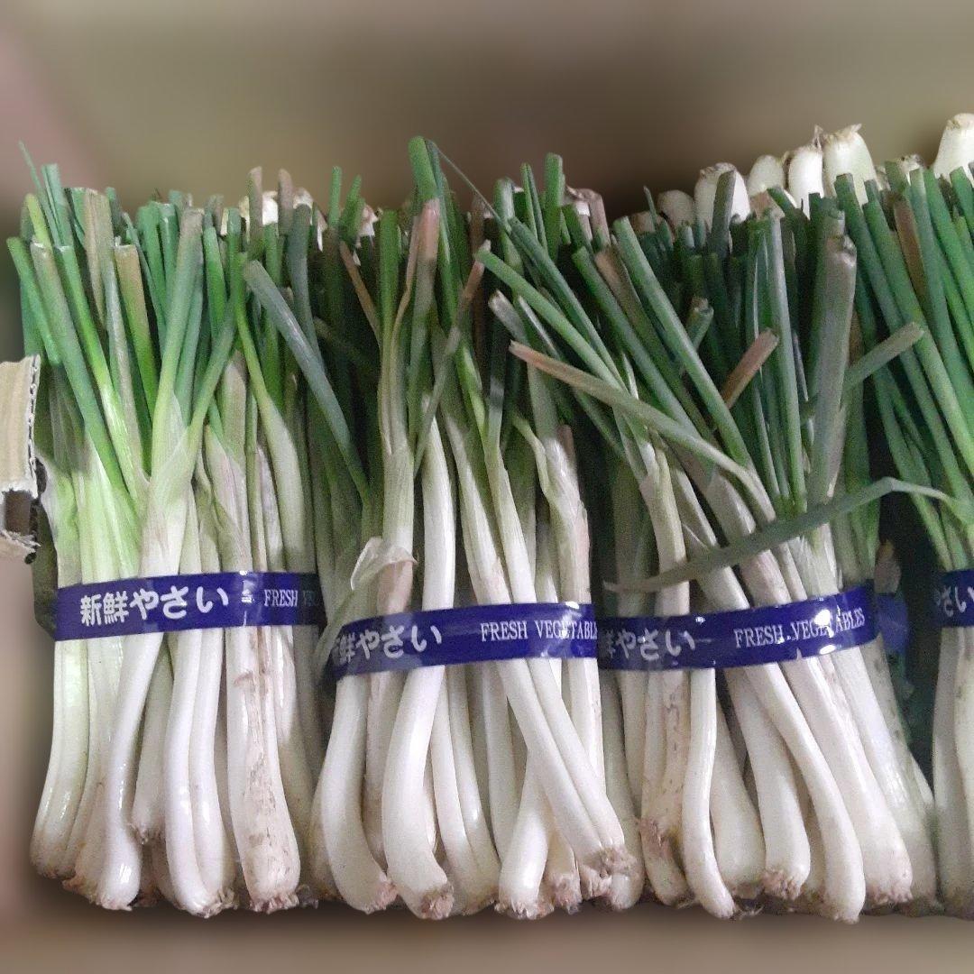 沖縄県産♪島らっきょう7.2㎏