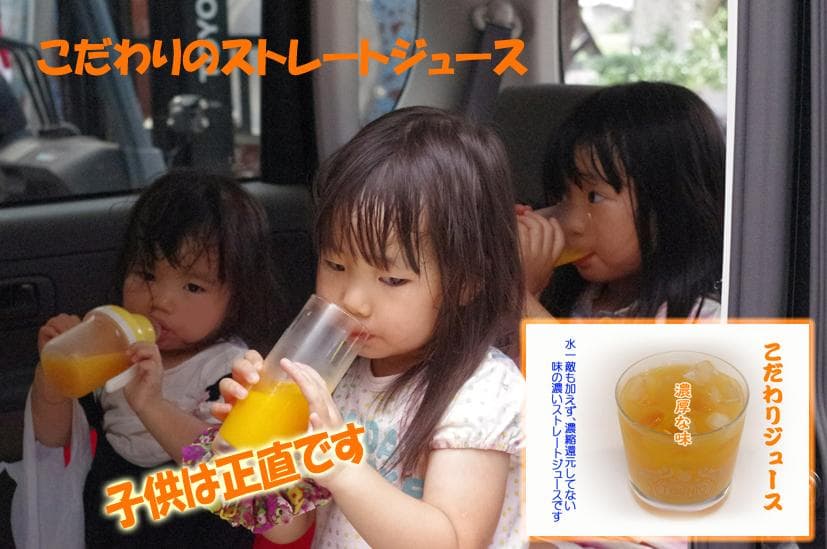 特別・限定販売：特売！濃縮還元してない・みかんジュース1000ｍｌ×12本