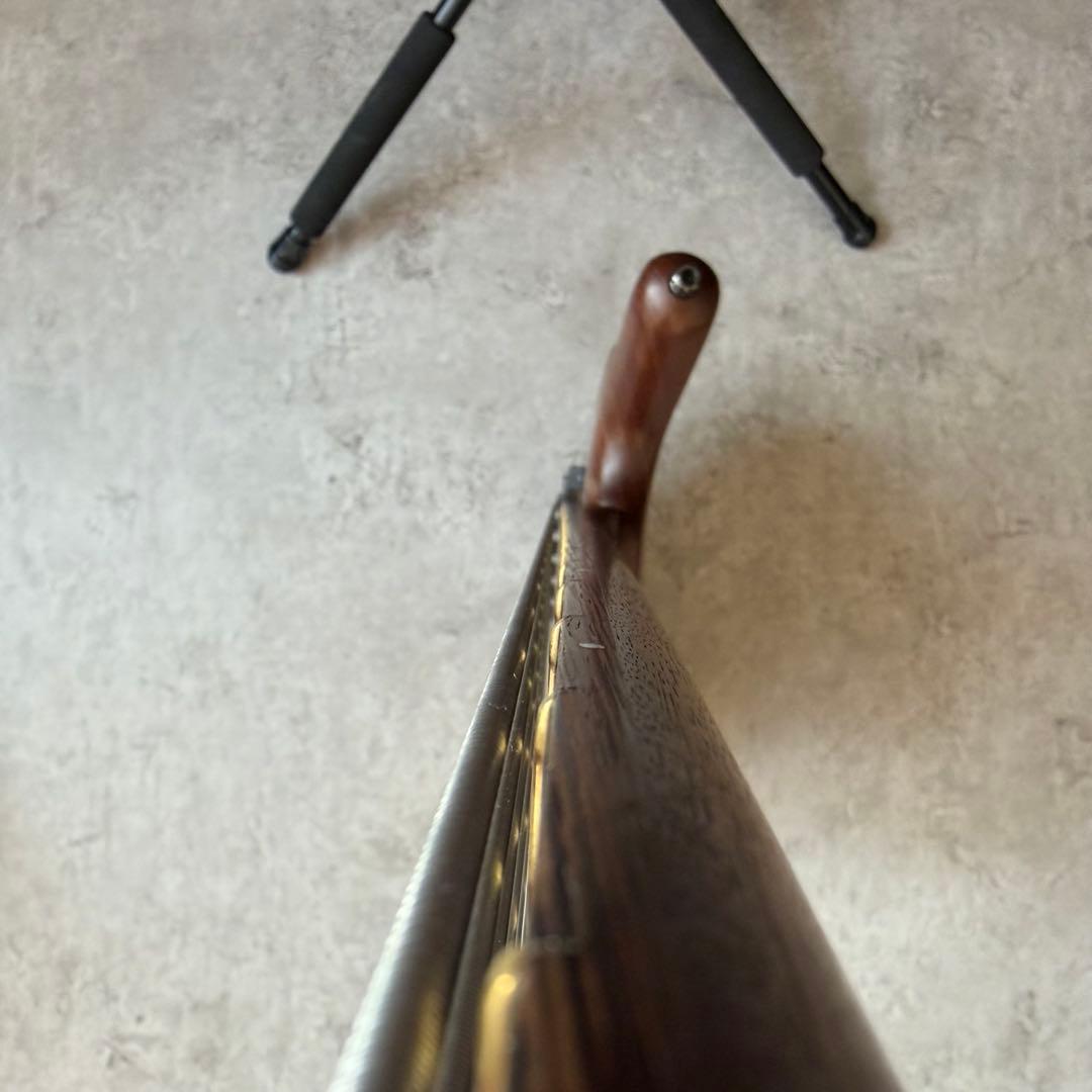 05年ドイツ製 Warwick Thumb Bass BO 6st 訳あり