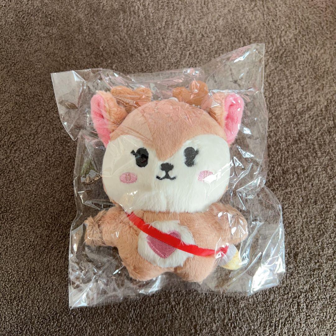 enhypen ヒスン　10cm ぬいぐるみ　新品　マスター