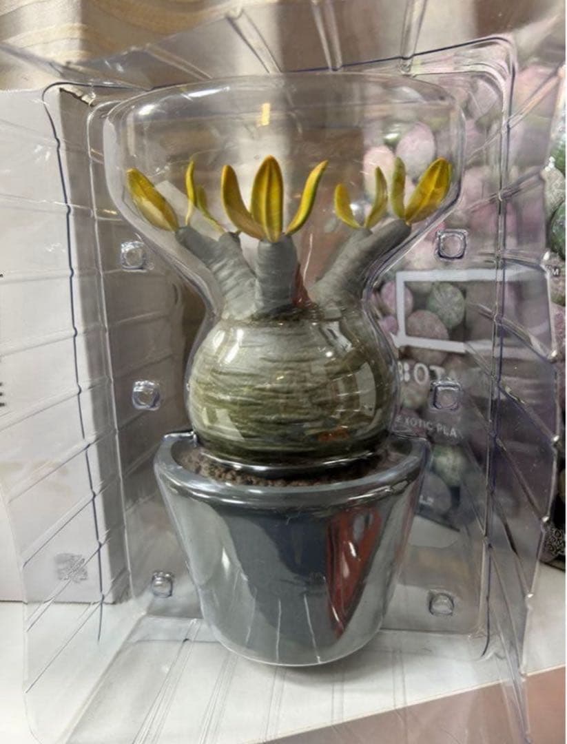 ボタナイズ メディコムトイ フィギュアbotanizeクレベリン　グラギリス