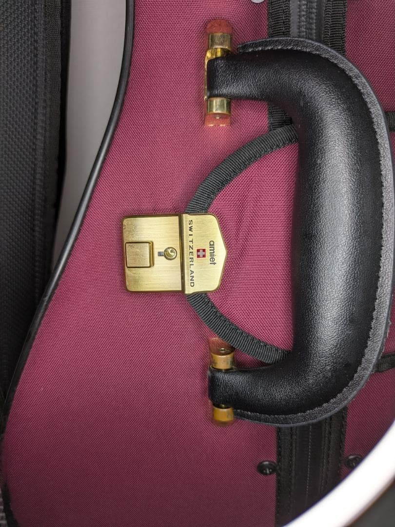 Amiet スーパーライト マンドリンケース