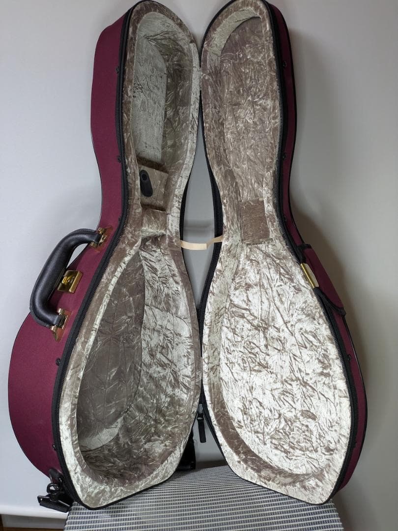 Amiet スーパーライト マンドリンケース