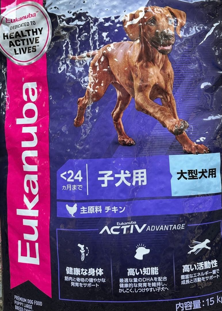 Eukanuba 子犬用 大型犬 ドライフード 15kg