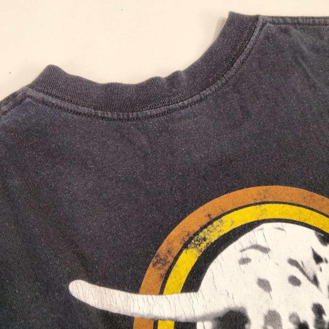 SUBLIME/サブライム/LOU DOG/anvil 青 M/バンド Tシャツ