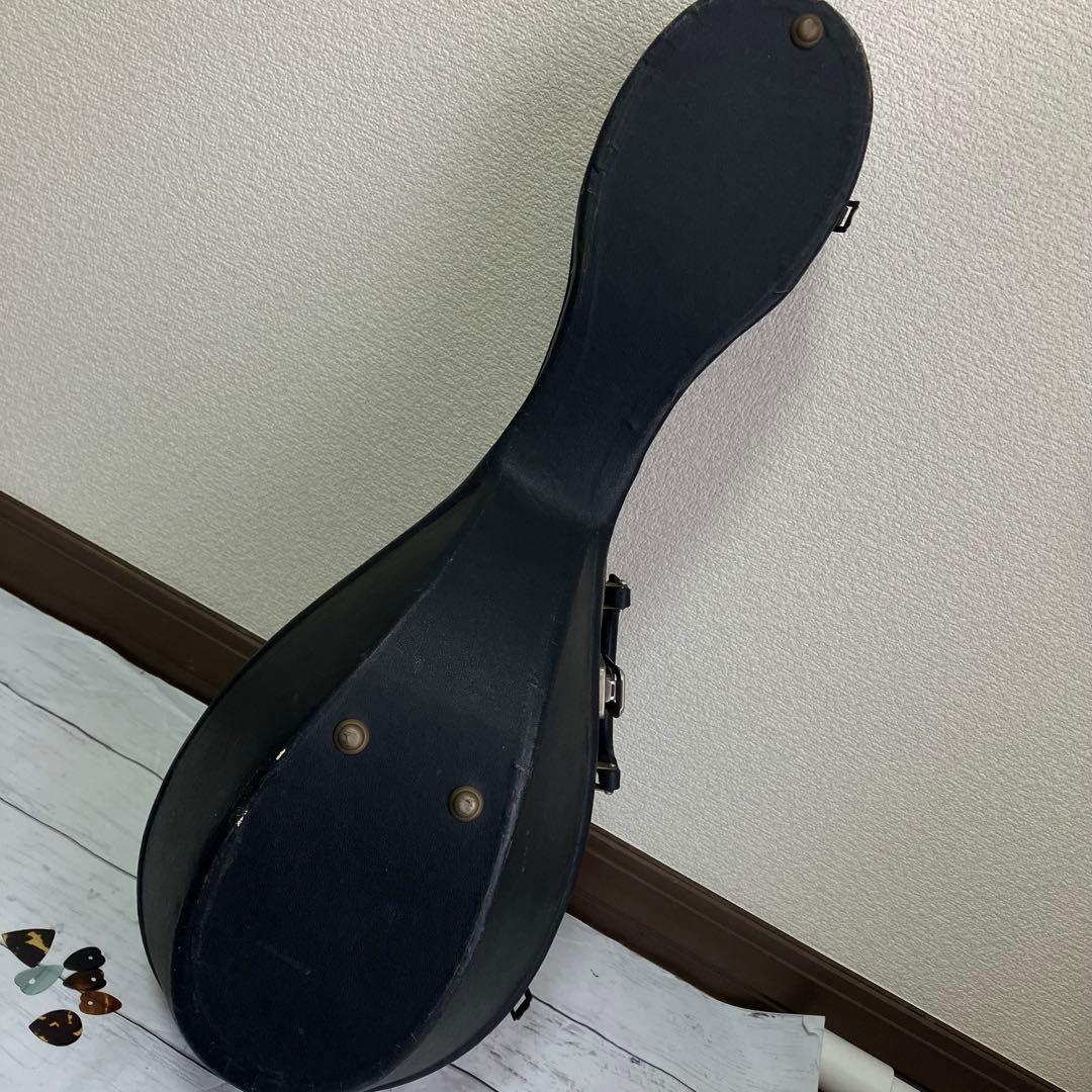 マンドリン S. Watanabe No.17 Anno1971 渡辺精次