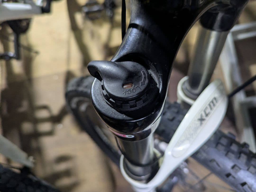 GIANT TALON 29 　マウンテンバイク ホワイト