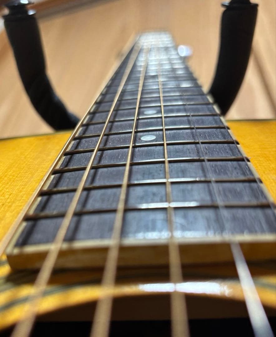 年末特価【大文字ロゴ】　Cat's Eyes CE-250 JV ハードケース