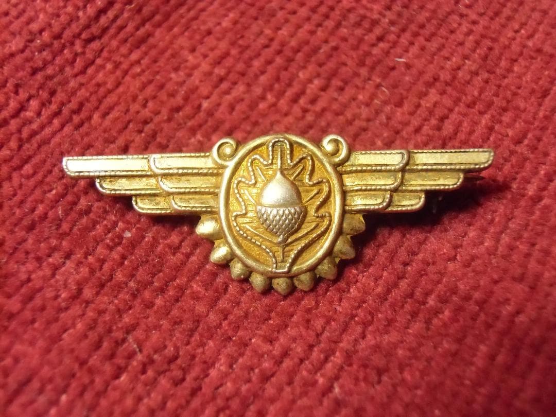 ★１９４０年代＊アメリカ軍＊海軍＊航空宇宙医章（実物）