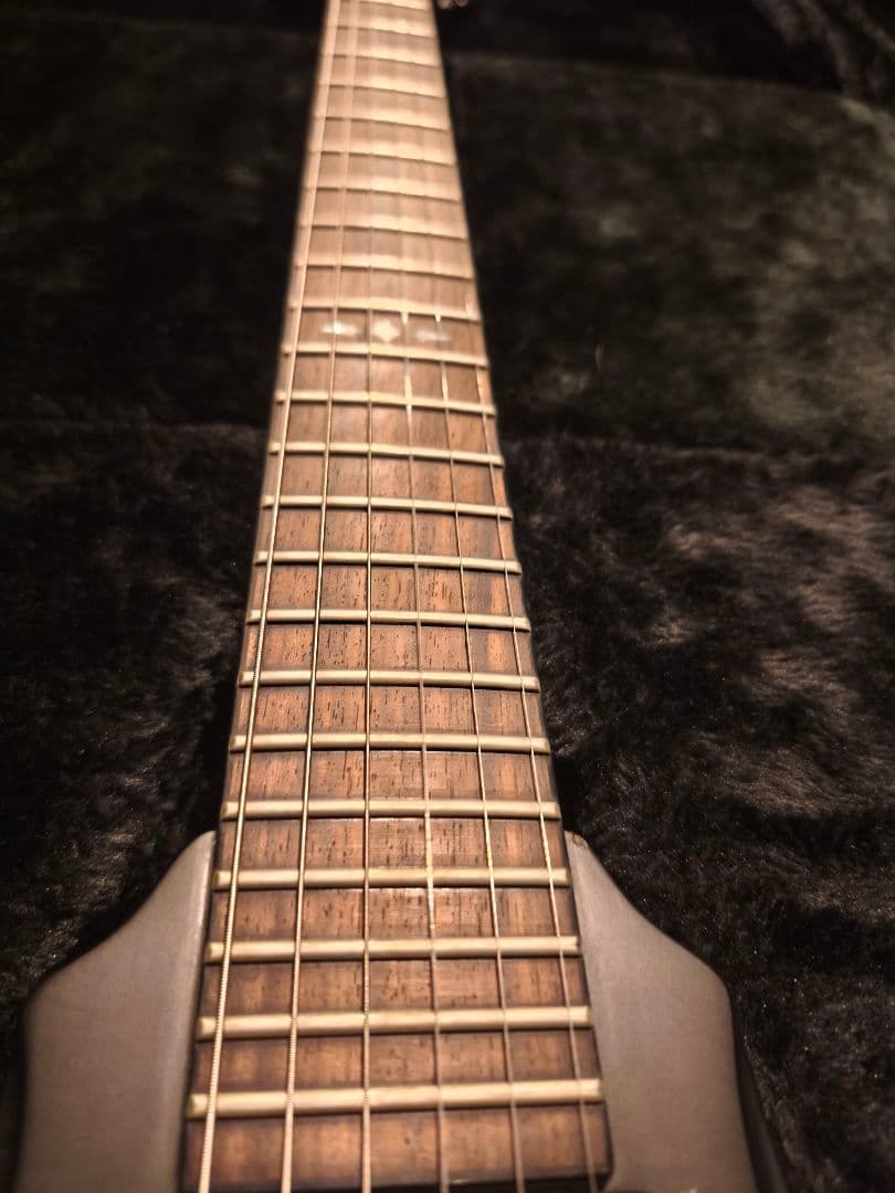 DBZ GuitarsVENOM エレキギター ブラック