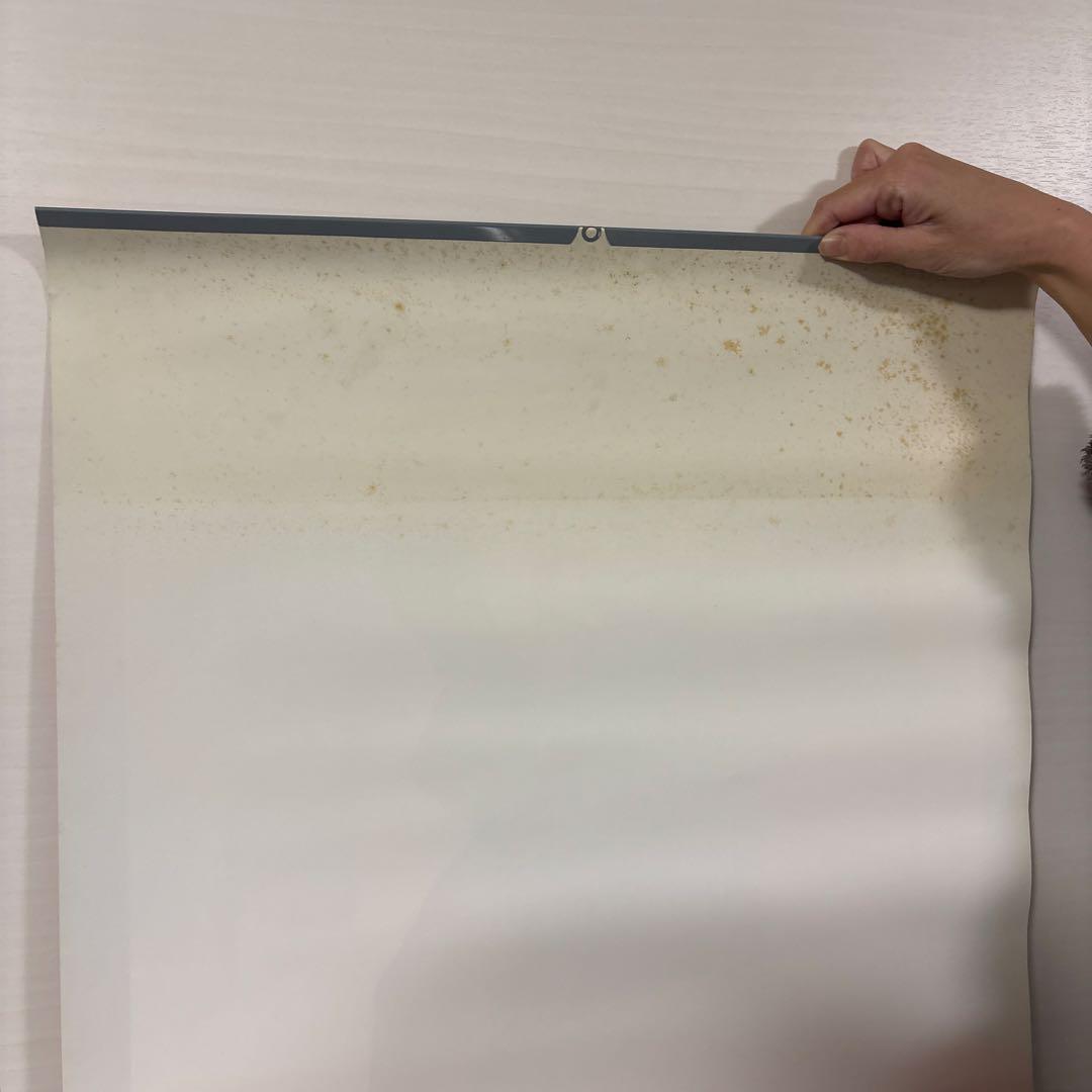 チエミ・ホリ 1984年カレンダー