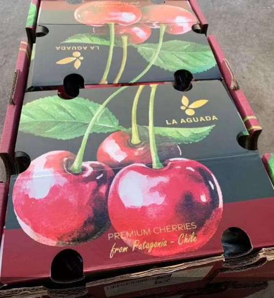 チリー産　空輸　チェリー 約5kg　大粒3Jサイズ