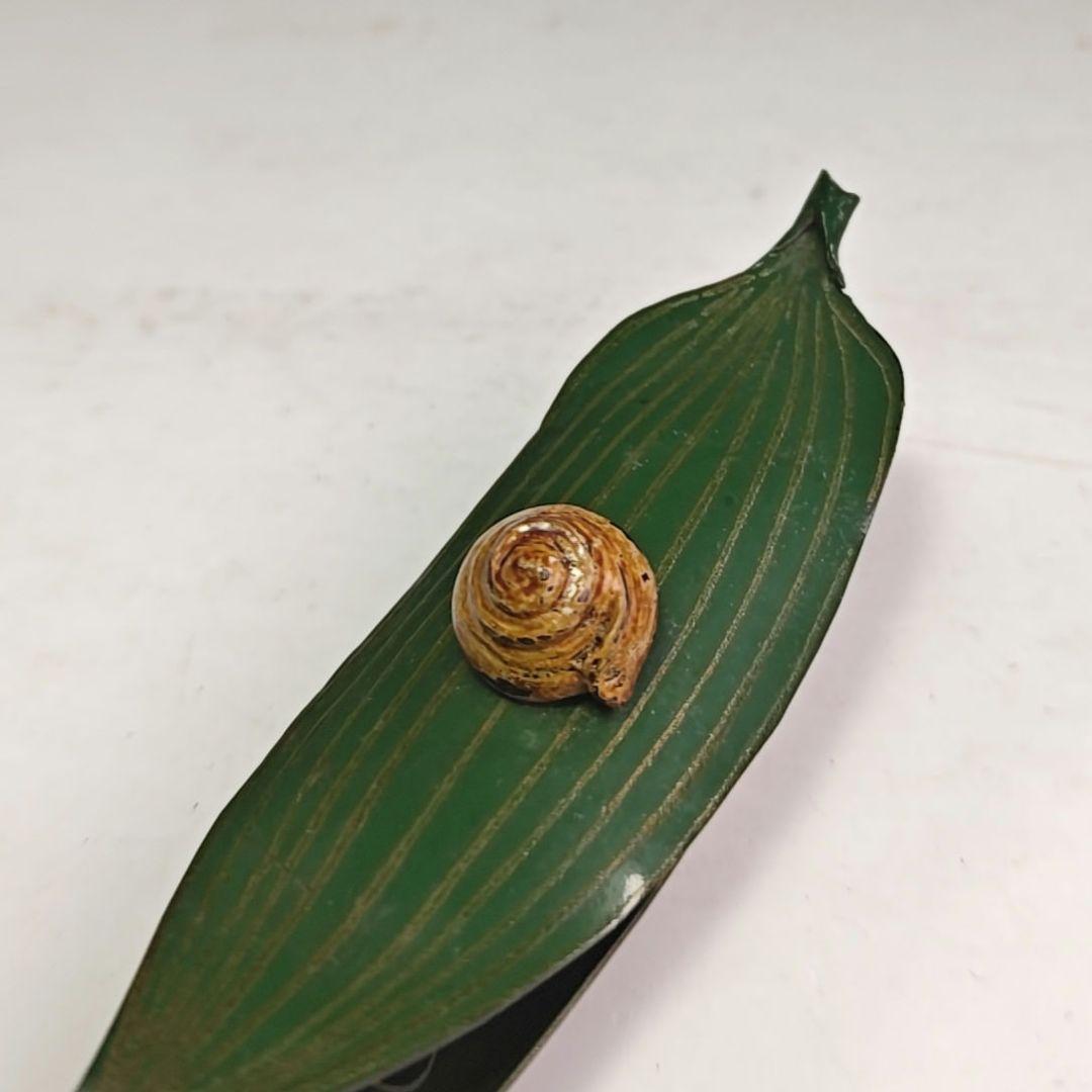 イ998 香合『中川正斉』『乾漆　竹笹かたつむり　香合　共箱』漆塗　茶道具