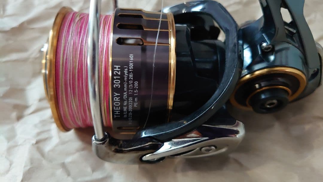 ダイワ(DAIWA) 17セオリー(THEORY) 3012H