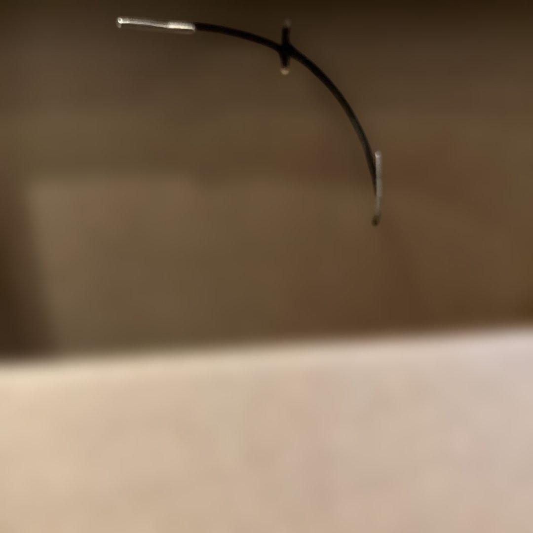 ＣＯＡＣＨ　犬リード