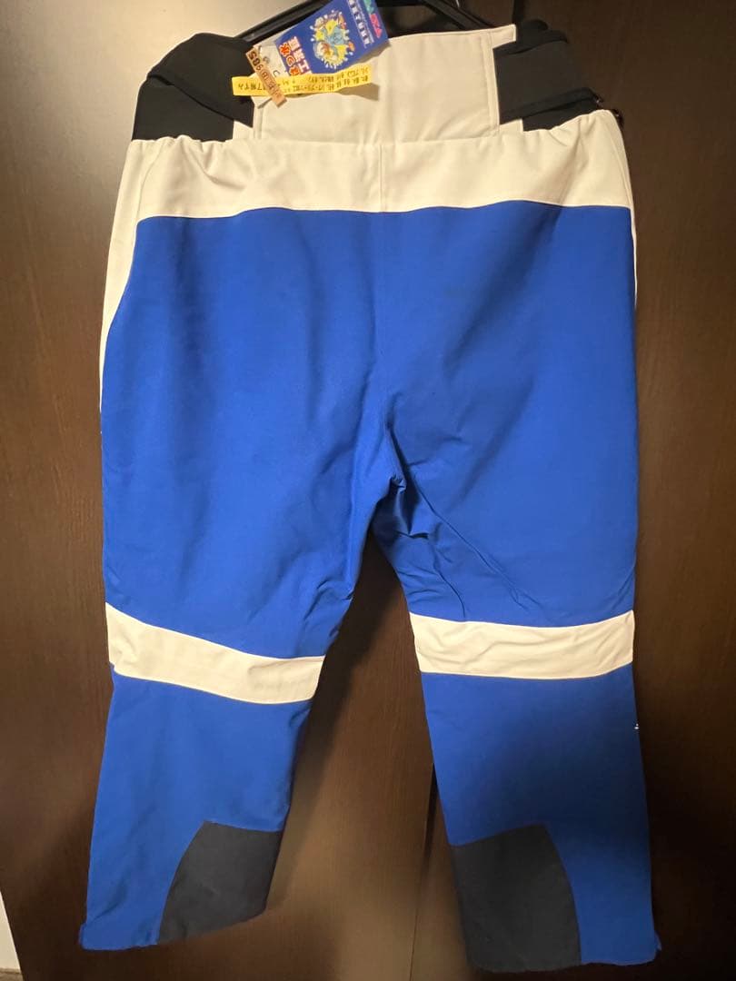 Goldwin スキーウェア 青白