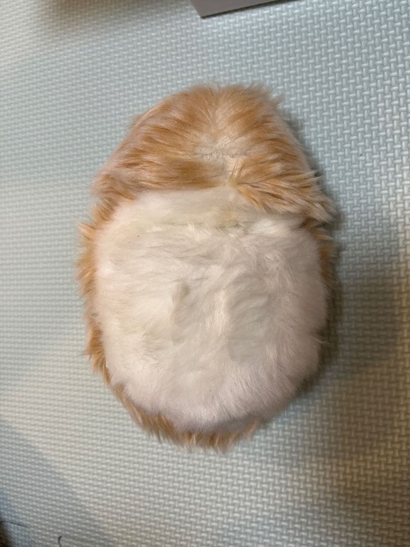 モフリン　ゴールド　CASIO