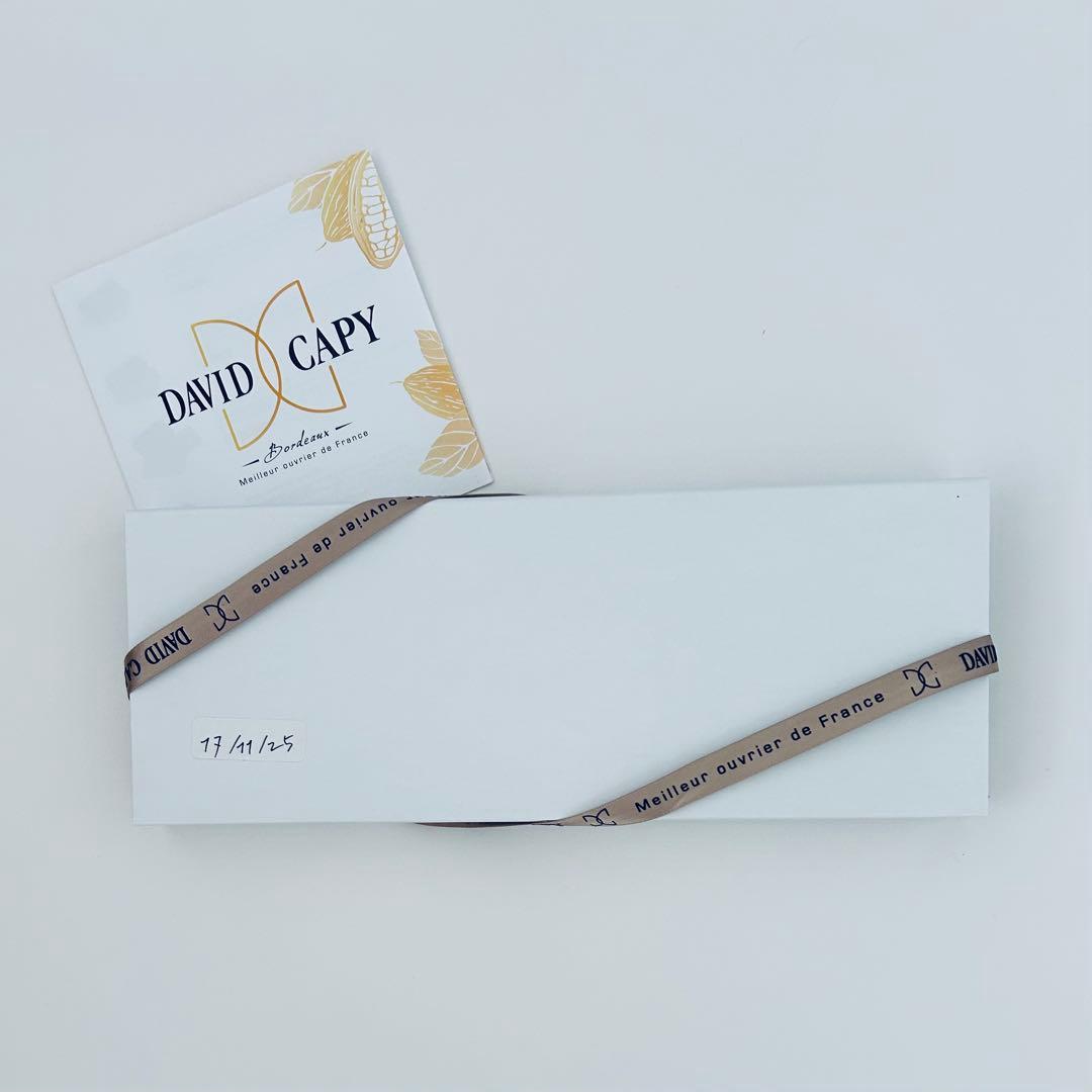 DAVID CAPY chibo♧出品です❣️