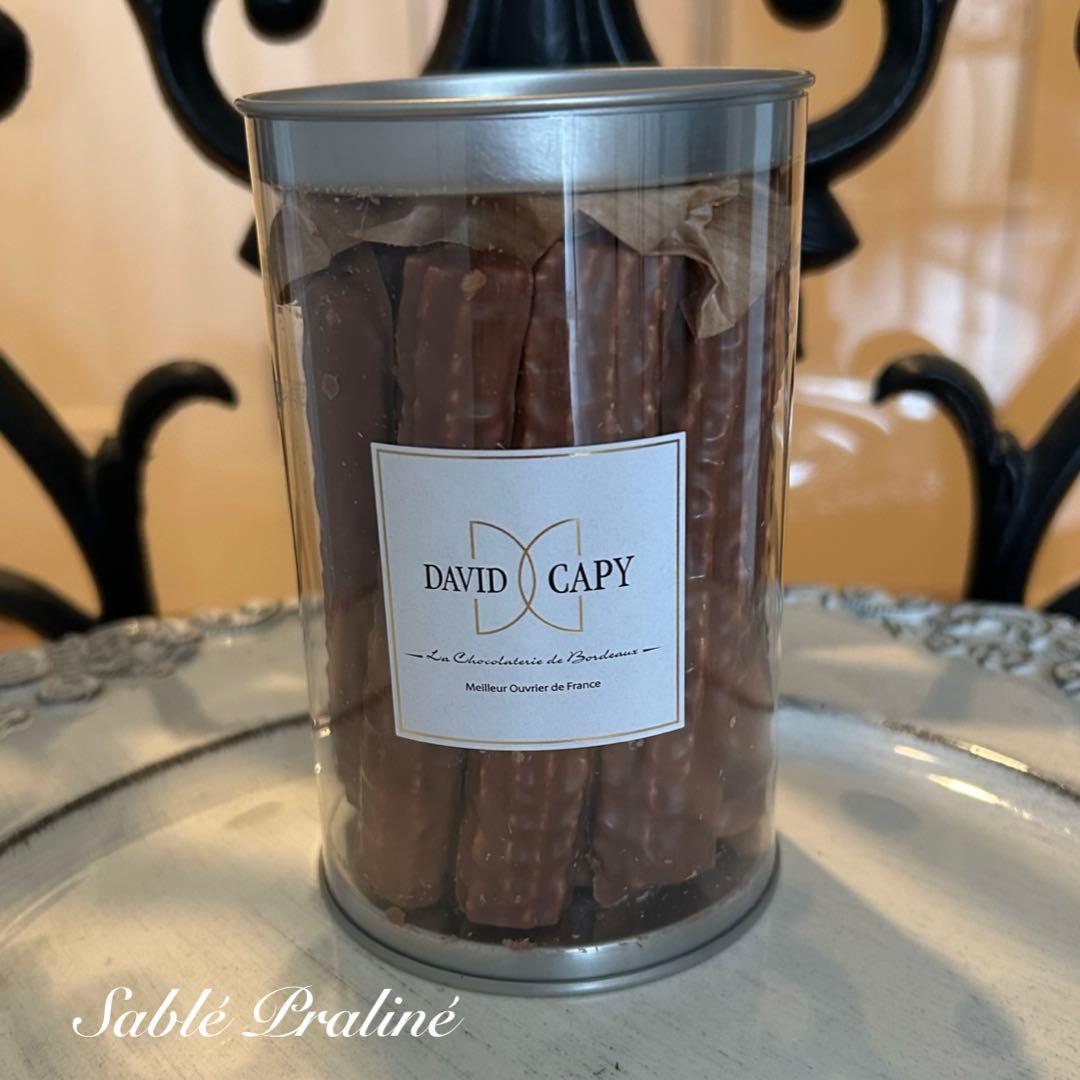 DAVID CAPY chibo♧出品です❣️