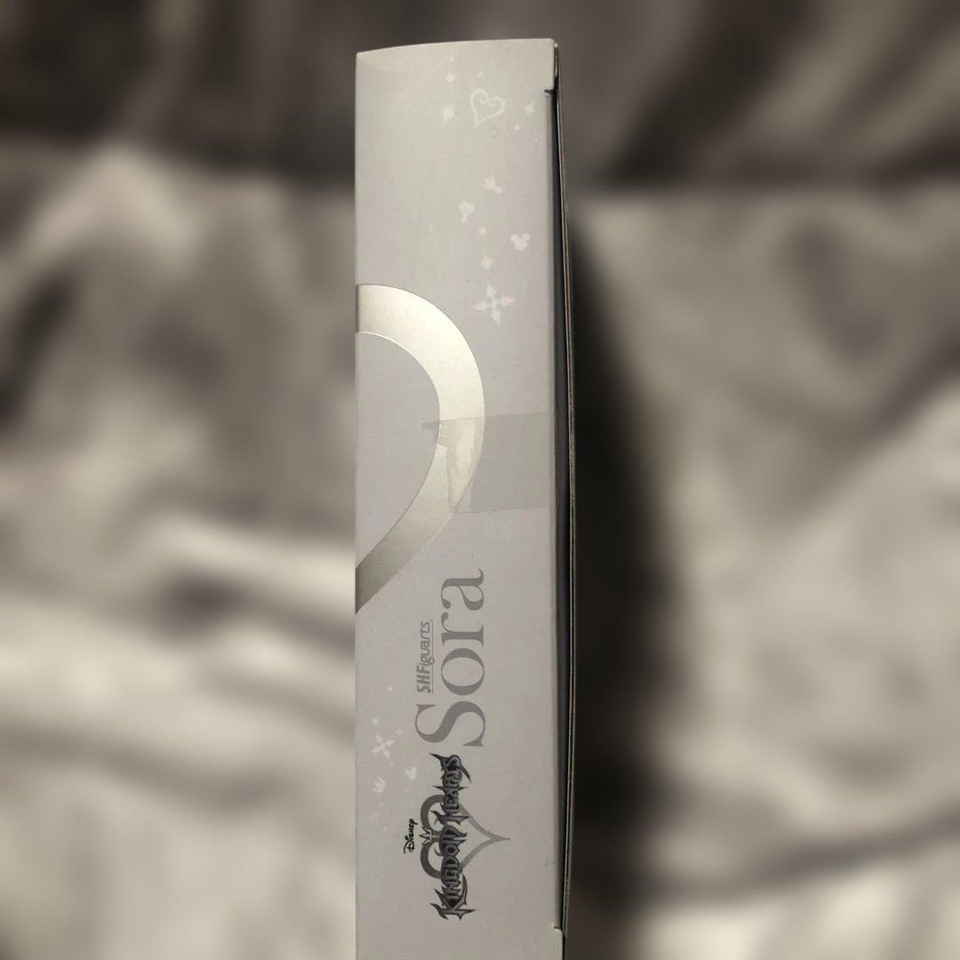 キングダムハーツⅡ ソラ