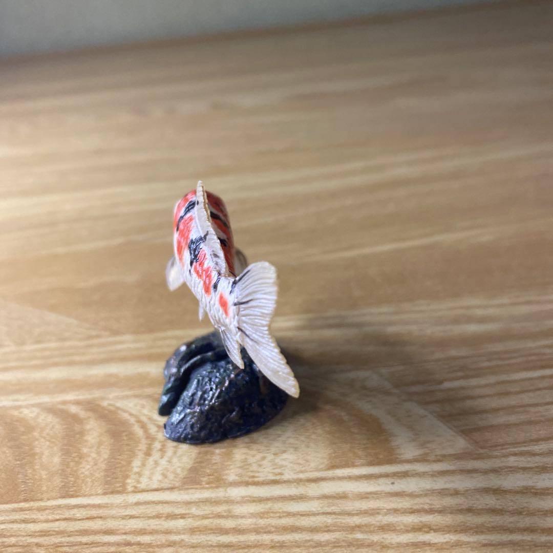 【中古】YUJIN 原色淡水魚図鑑　イワナ ウナギ　大正三色