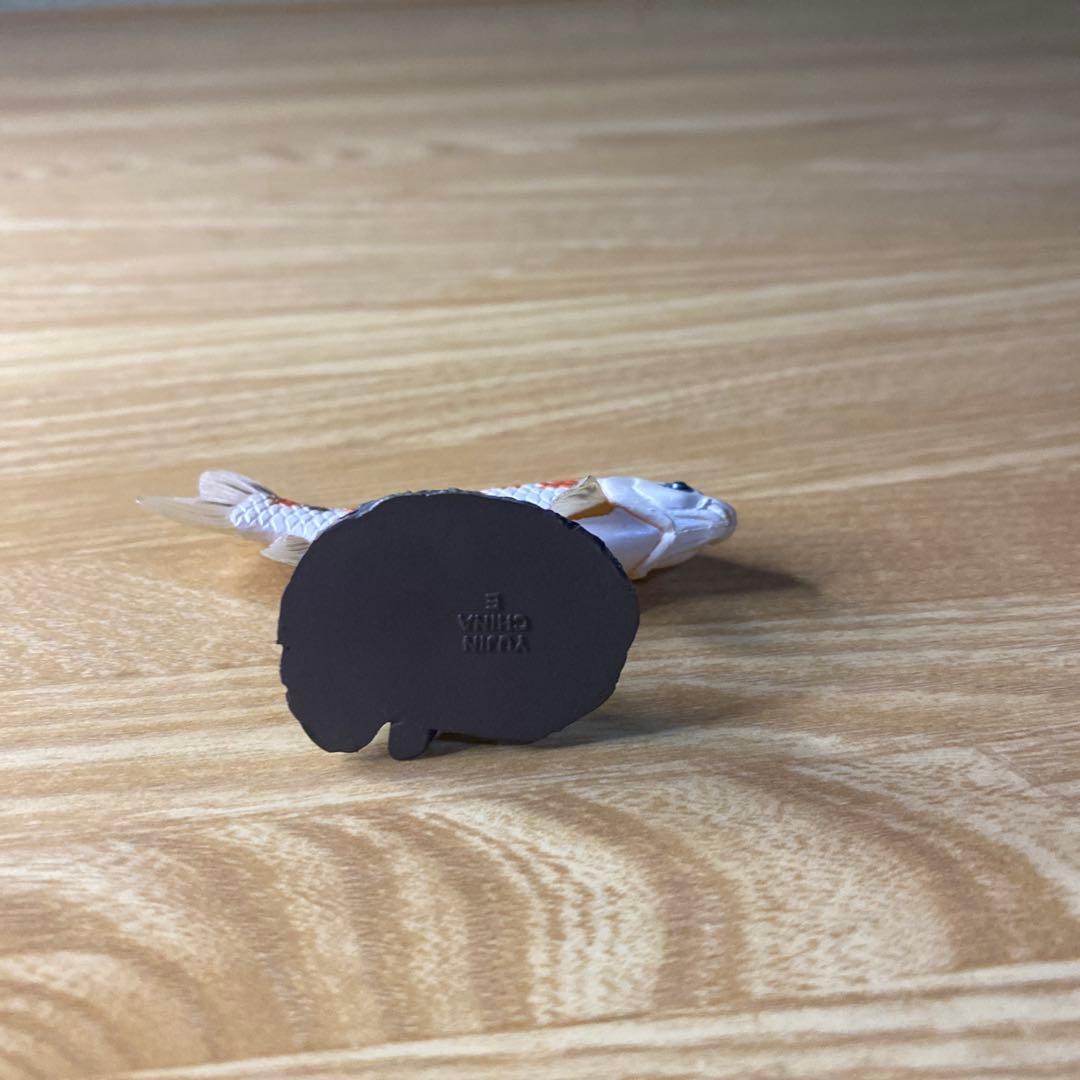 【中古】YUJIN 原色淡水魚図鑑　イワナ ウナギ　大正三色