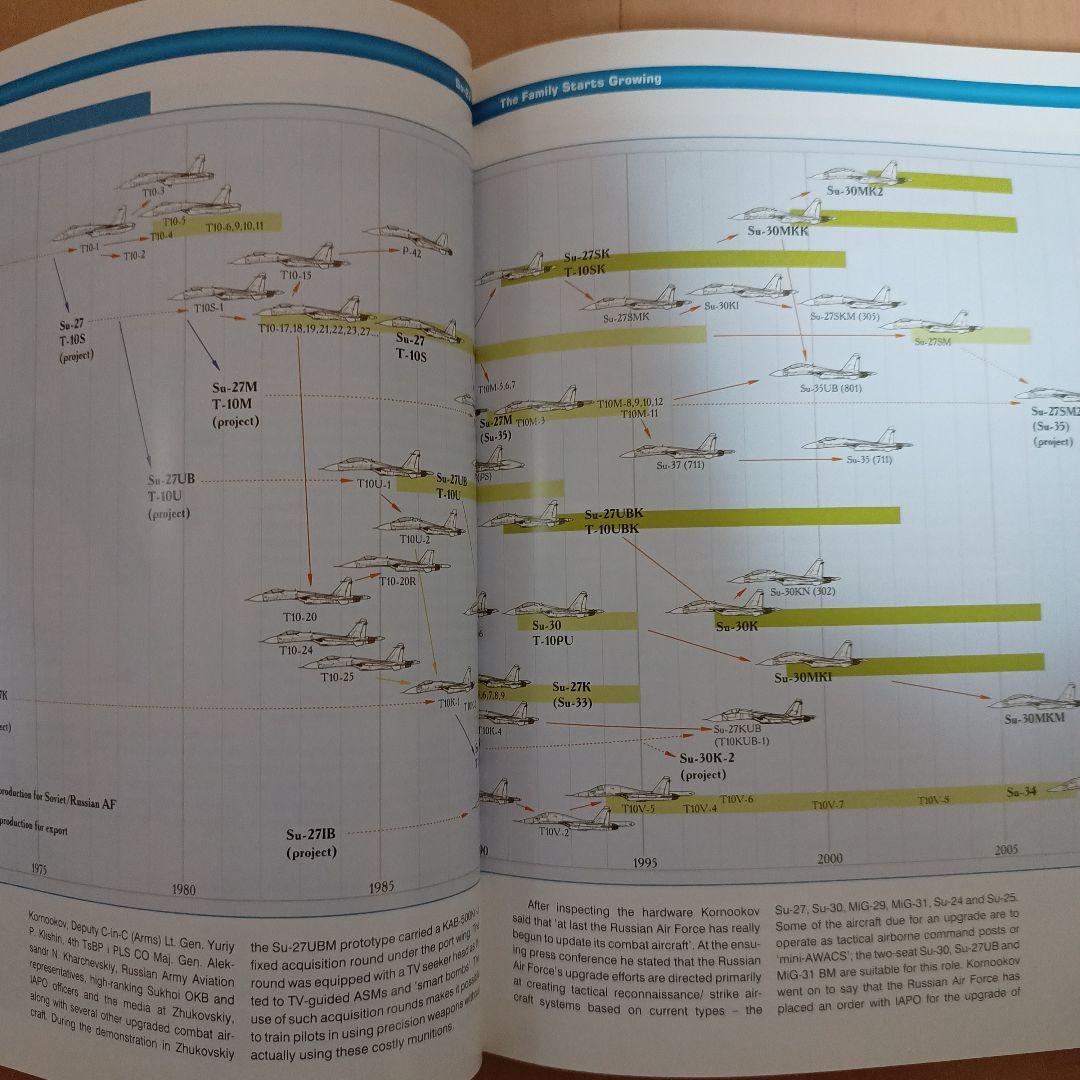 Sukhoi Su-27 スホーイ　スホイ　ロシア